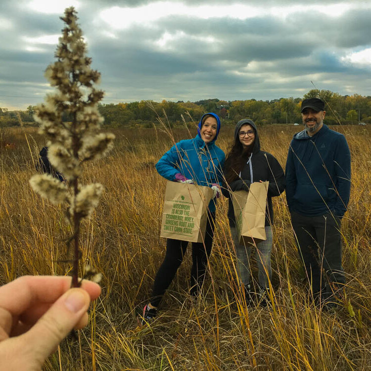 Seed Collection at Pheasant Branch
